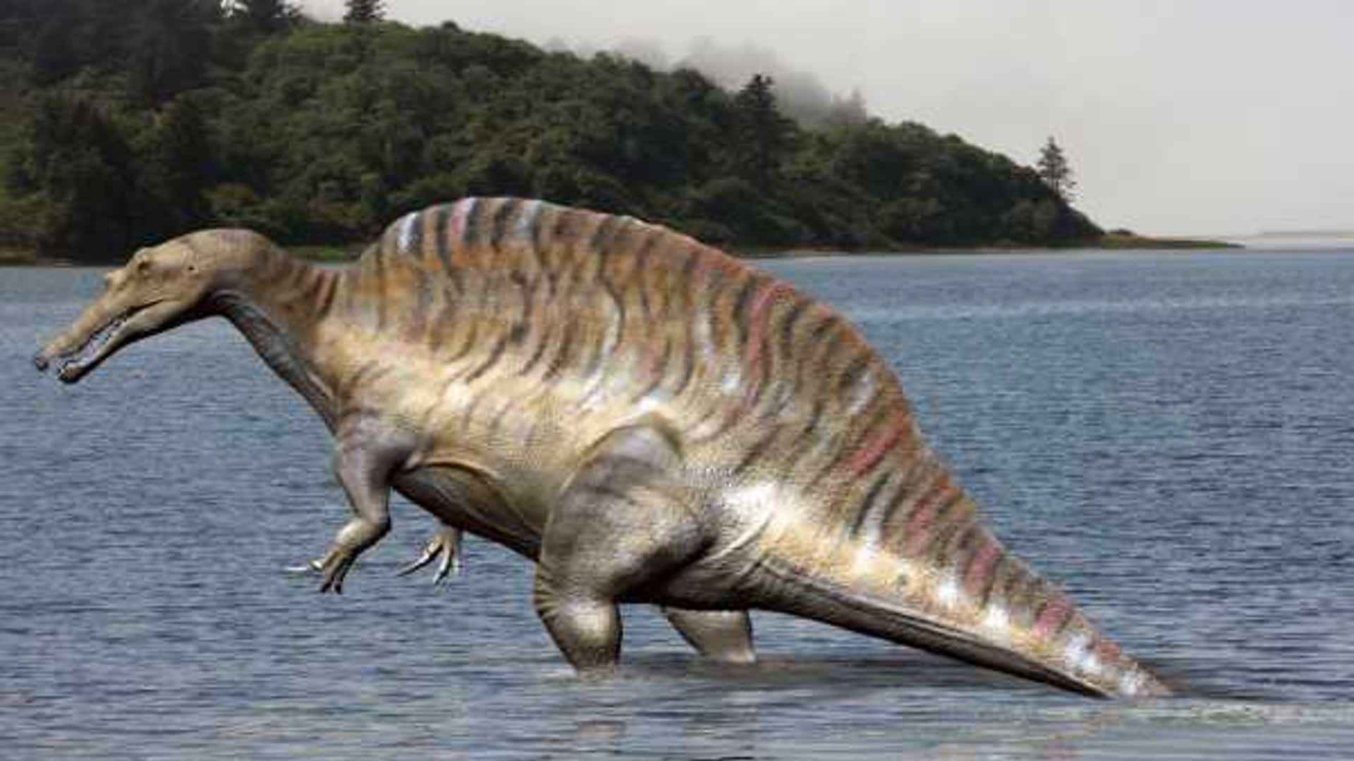 Spinosaurus_NT
