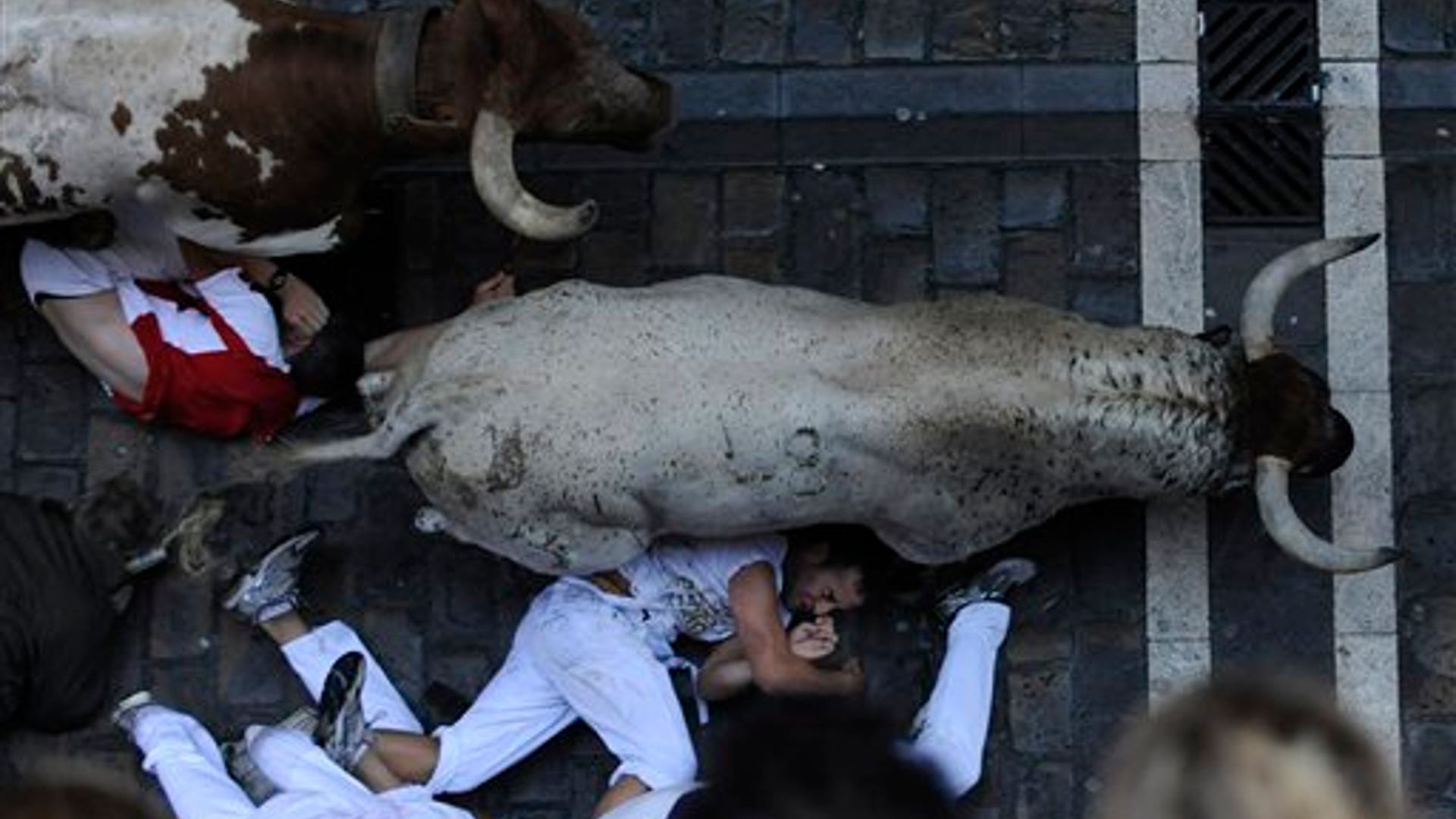July 7th: Revelers are stepped over by Penajara ranch fighting bulls during the San Fermin festival on Wednesday in Pamplona, Spain.