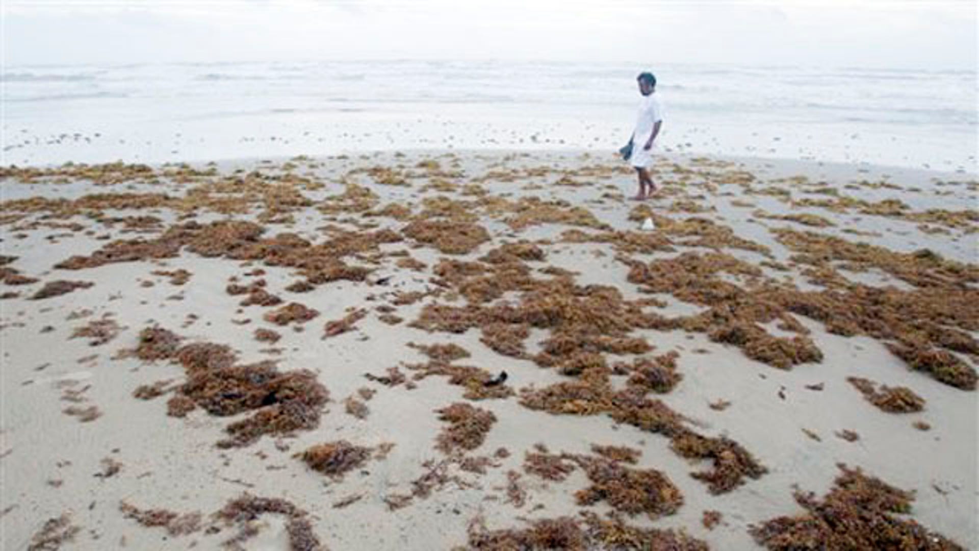 Алекс Техас HD Алекс Техас HD