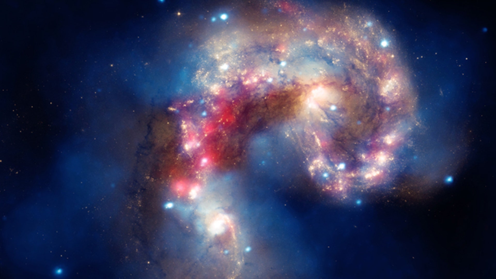 Summer_Star_Watching