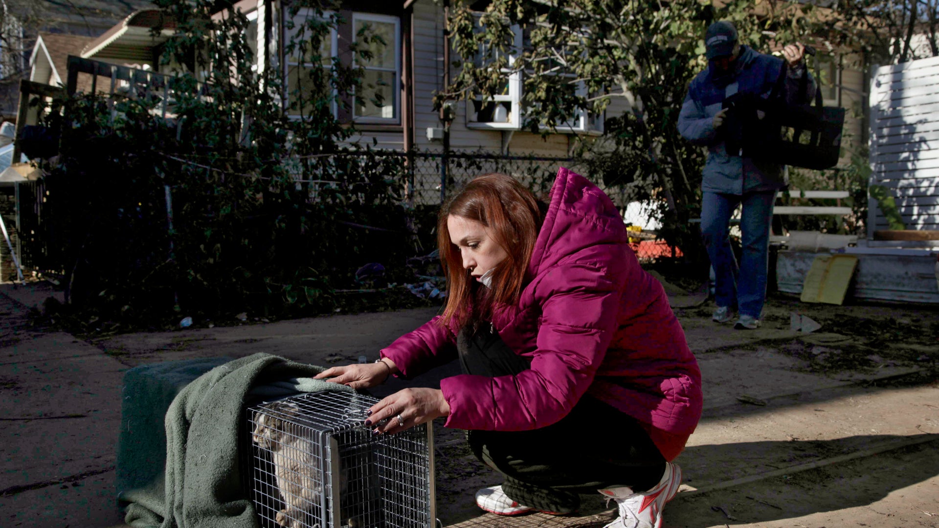 Superstorm_Pets_Garc_8