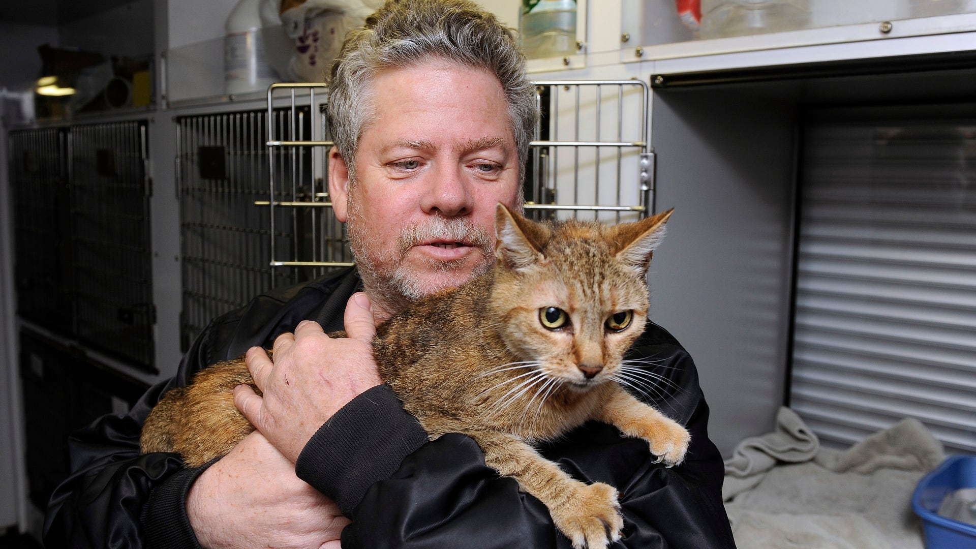 Superstorm_Pets_Garc_9