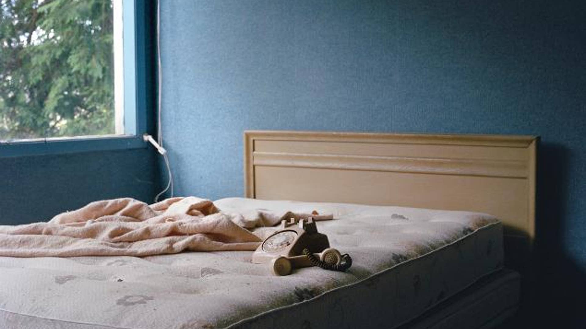 Guest Room, Tamarack Lodge