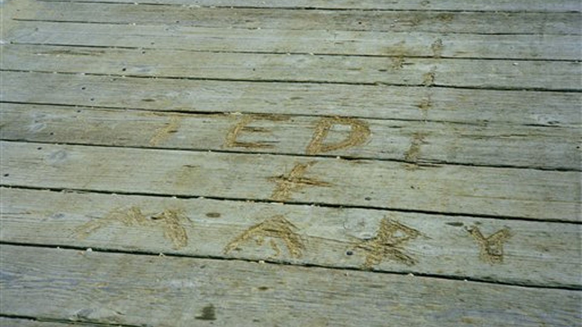 Ted Kennedy Controversy