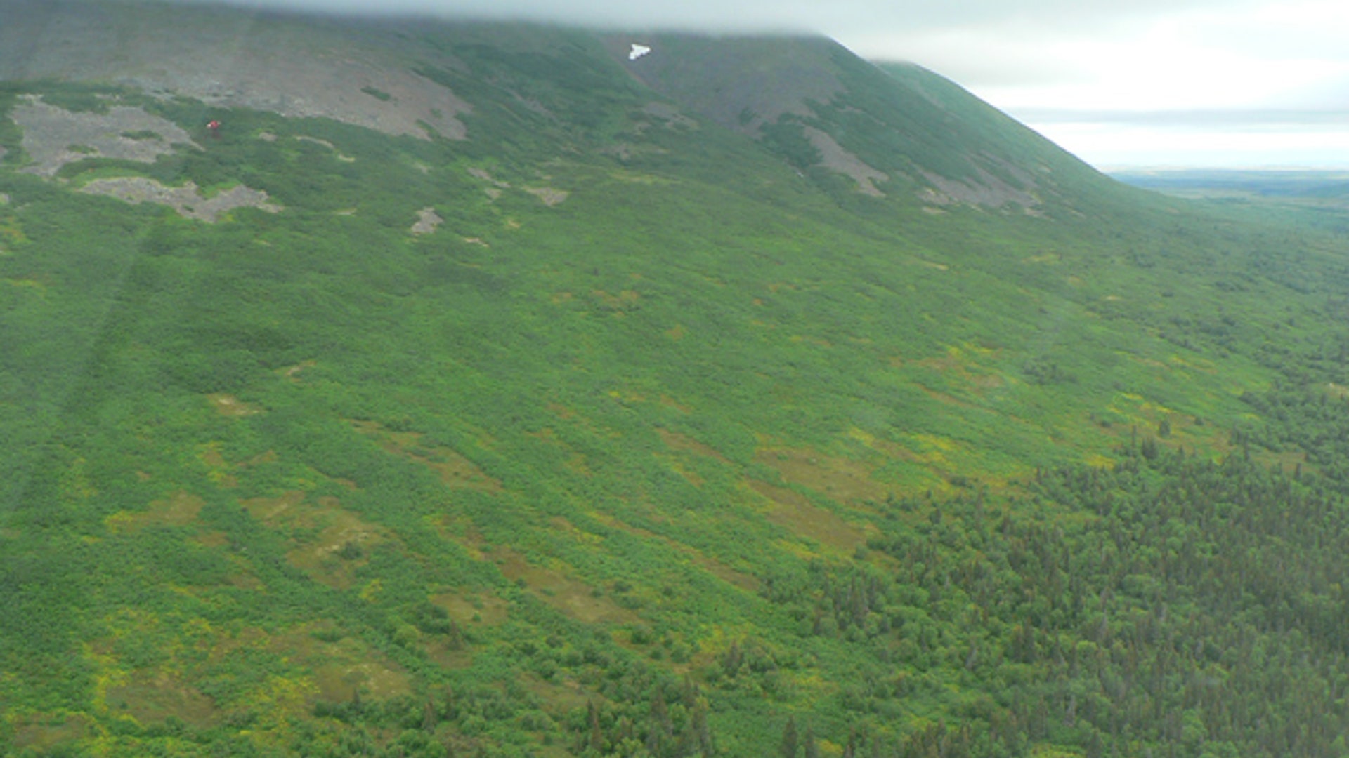 Ted Stevens Plane Crash.