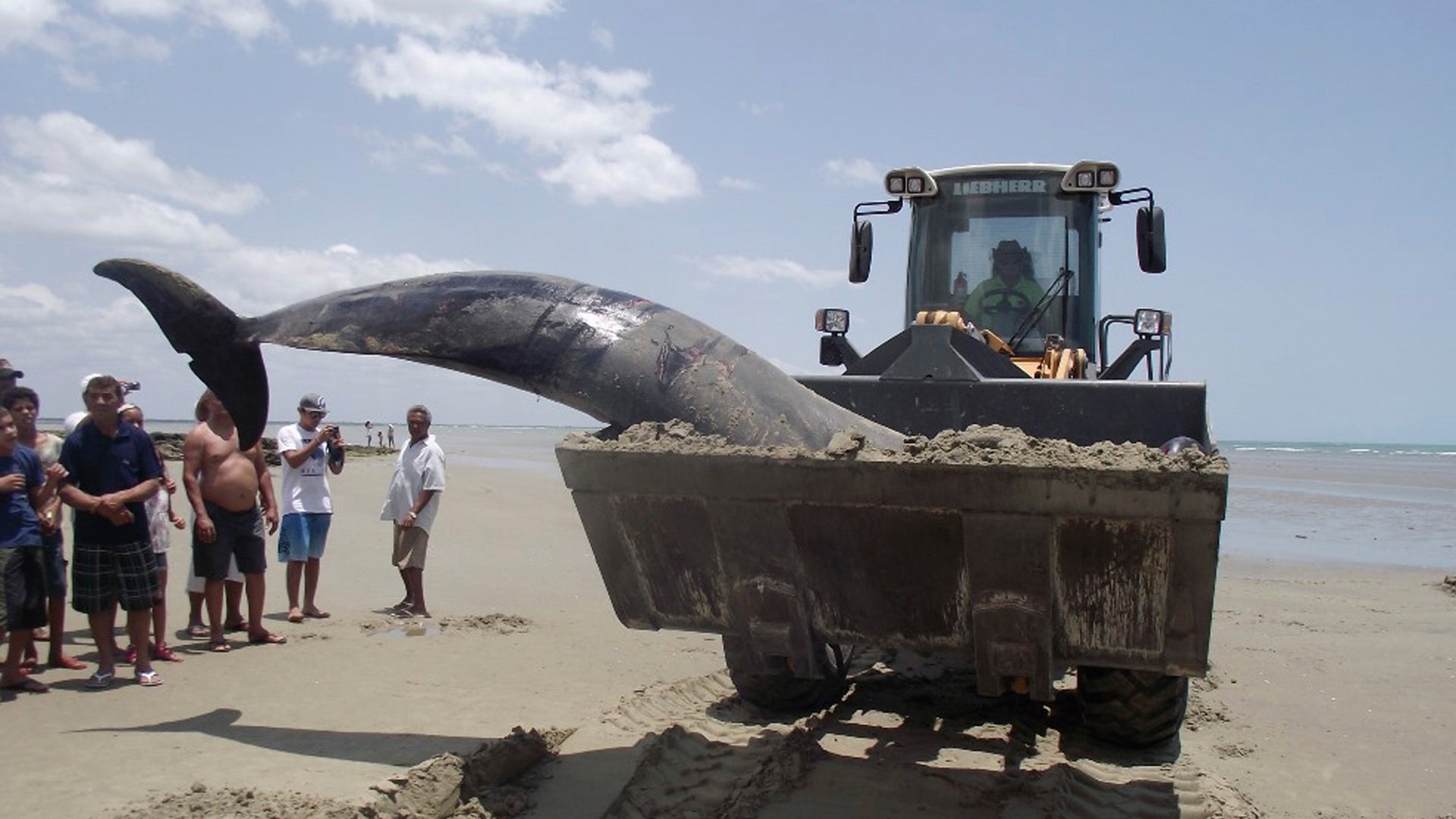 The_Week_That_Was_in__Vros__2_