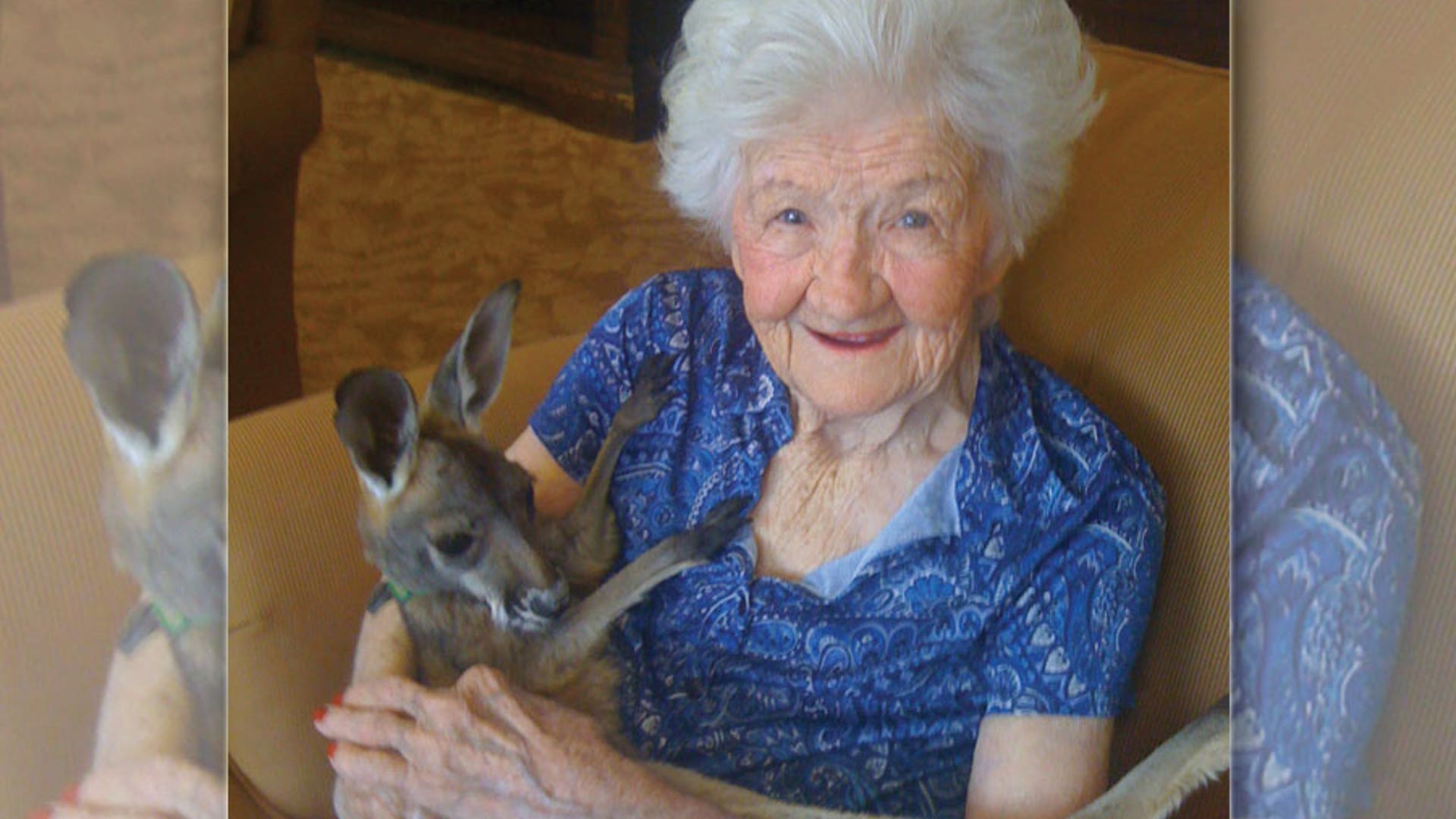 Theodore the kangaroo hops for mental health