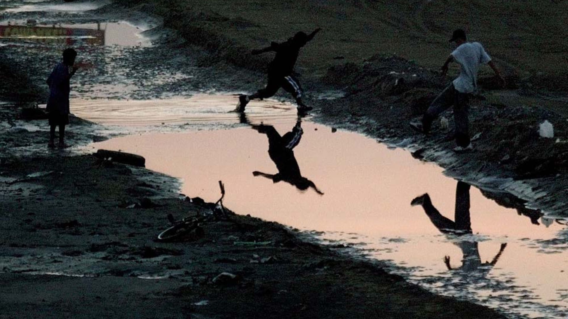 ThreatenedEcosystems4