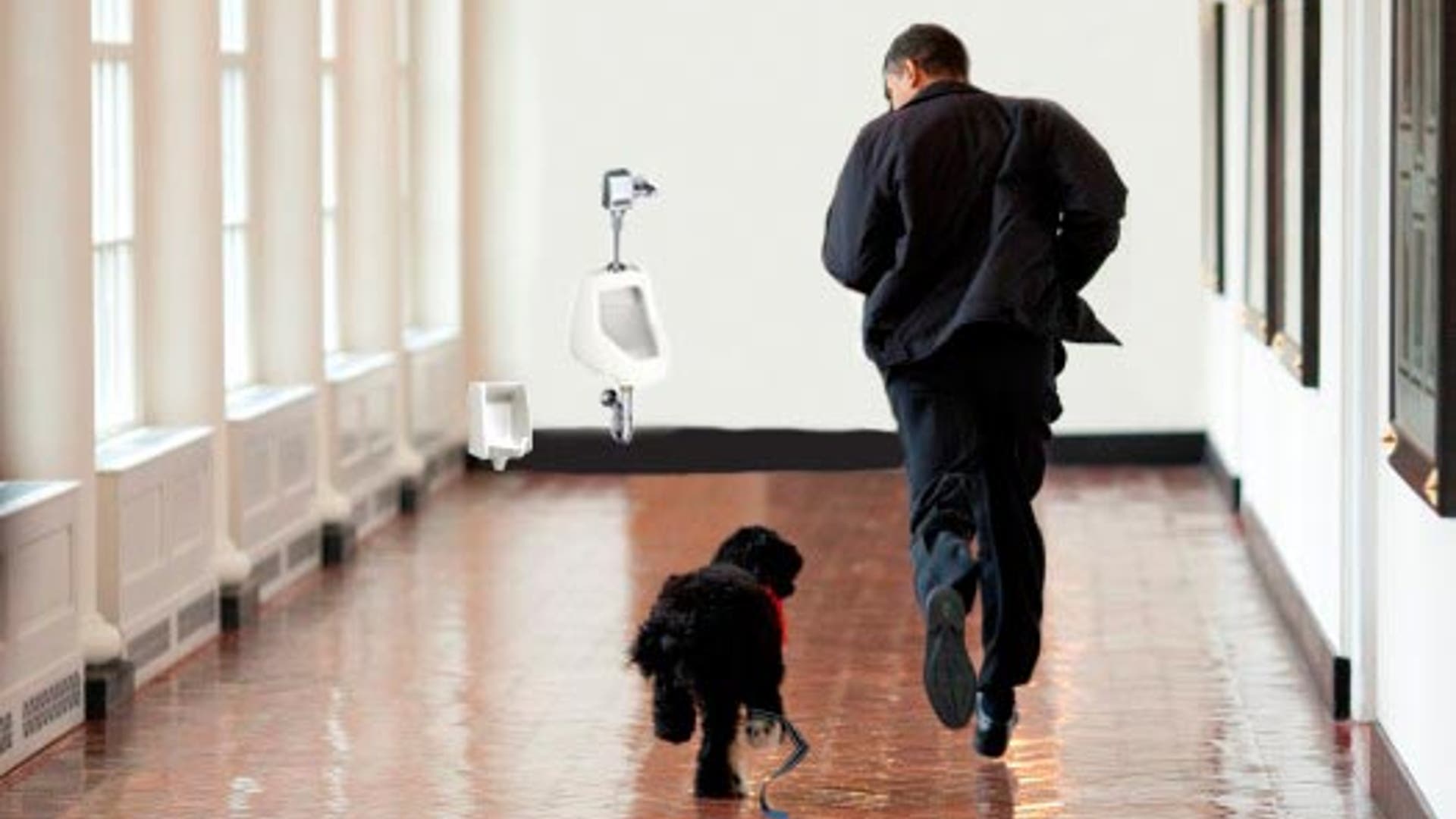 Politicians and Pooches