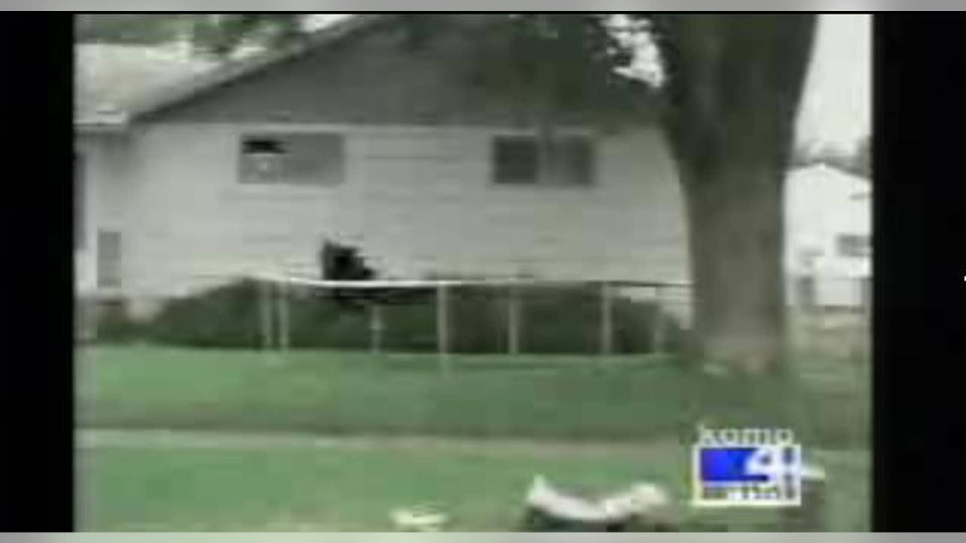 Gymnast Bear (Continued)