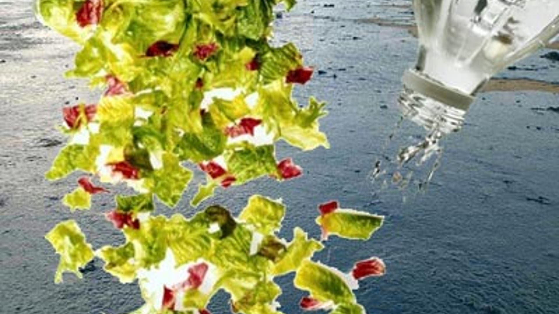 Who or What Can Stop the Spill?