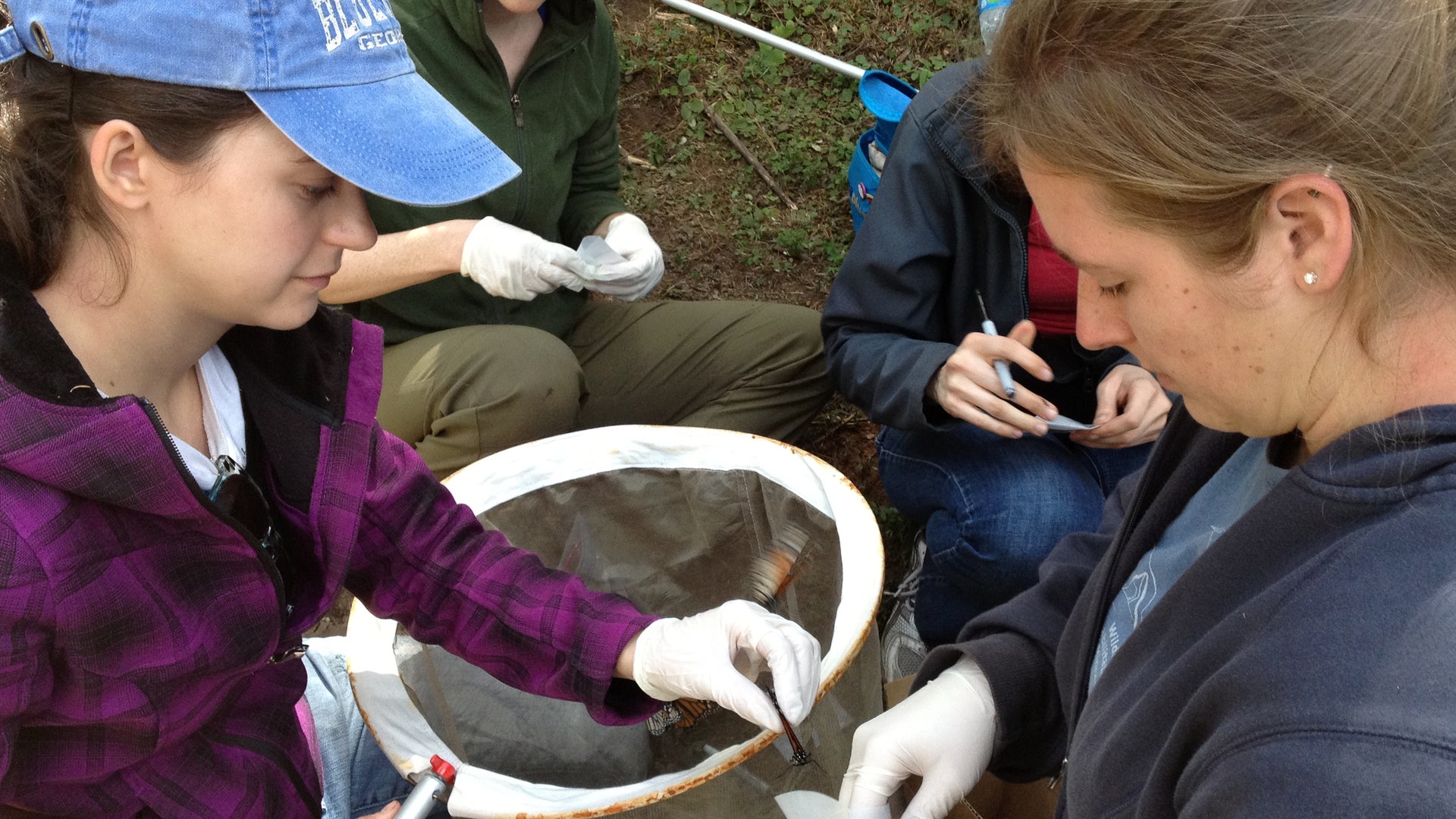 Travel_Trip_Monarch_B_Garc_2