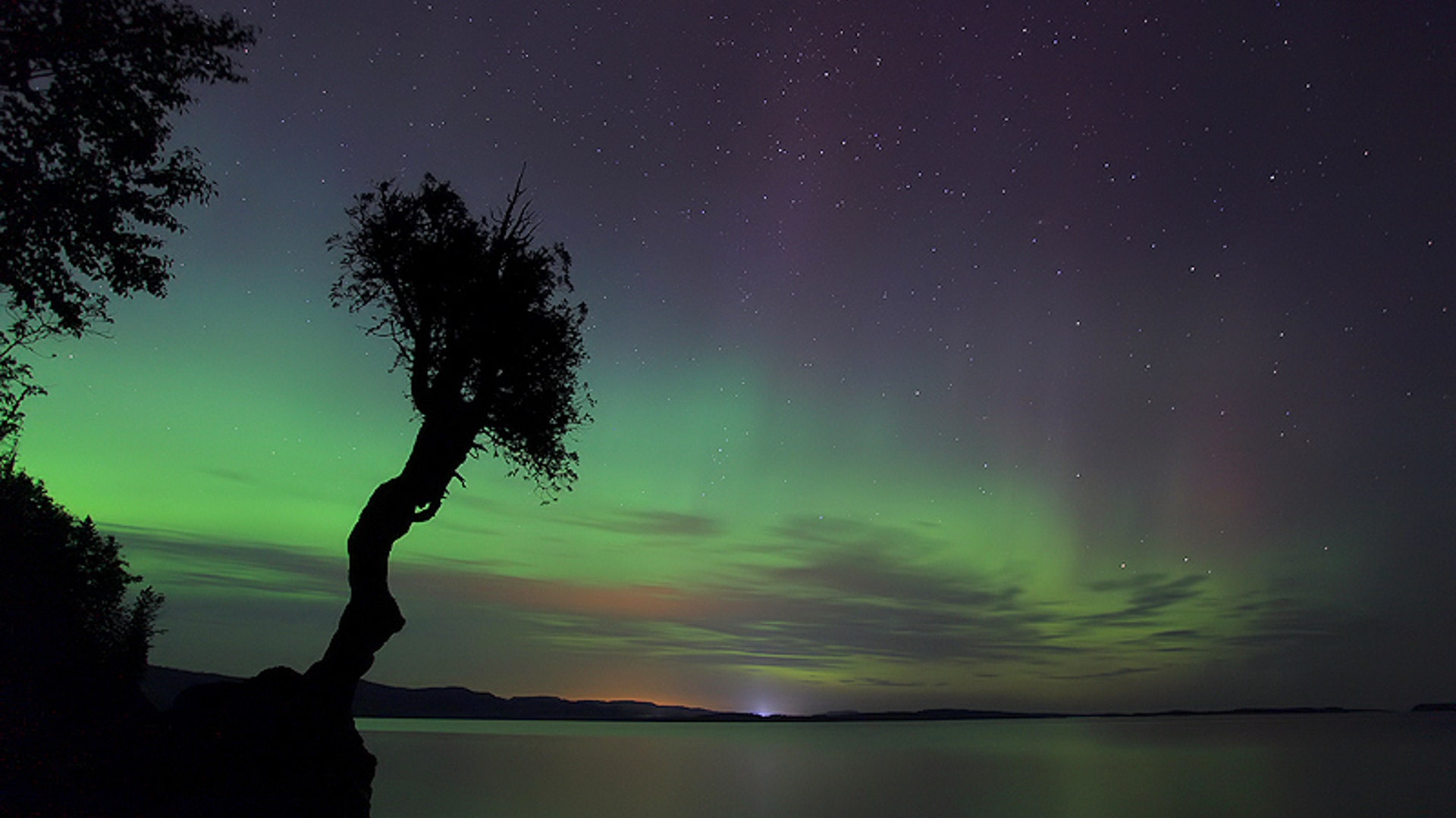 Stars Over Minnesota