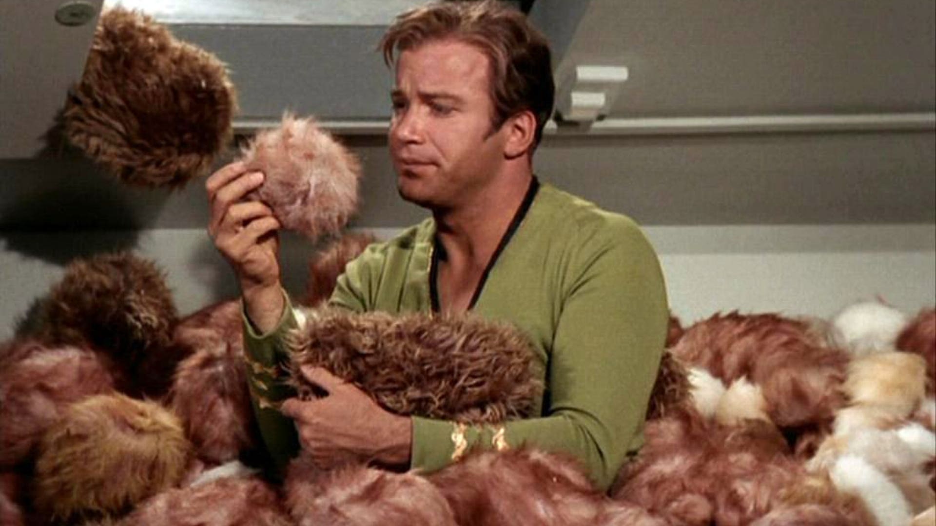 Tribbles