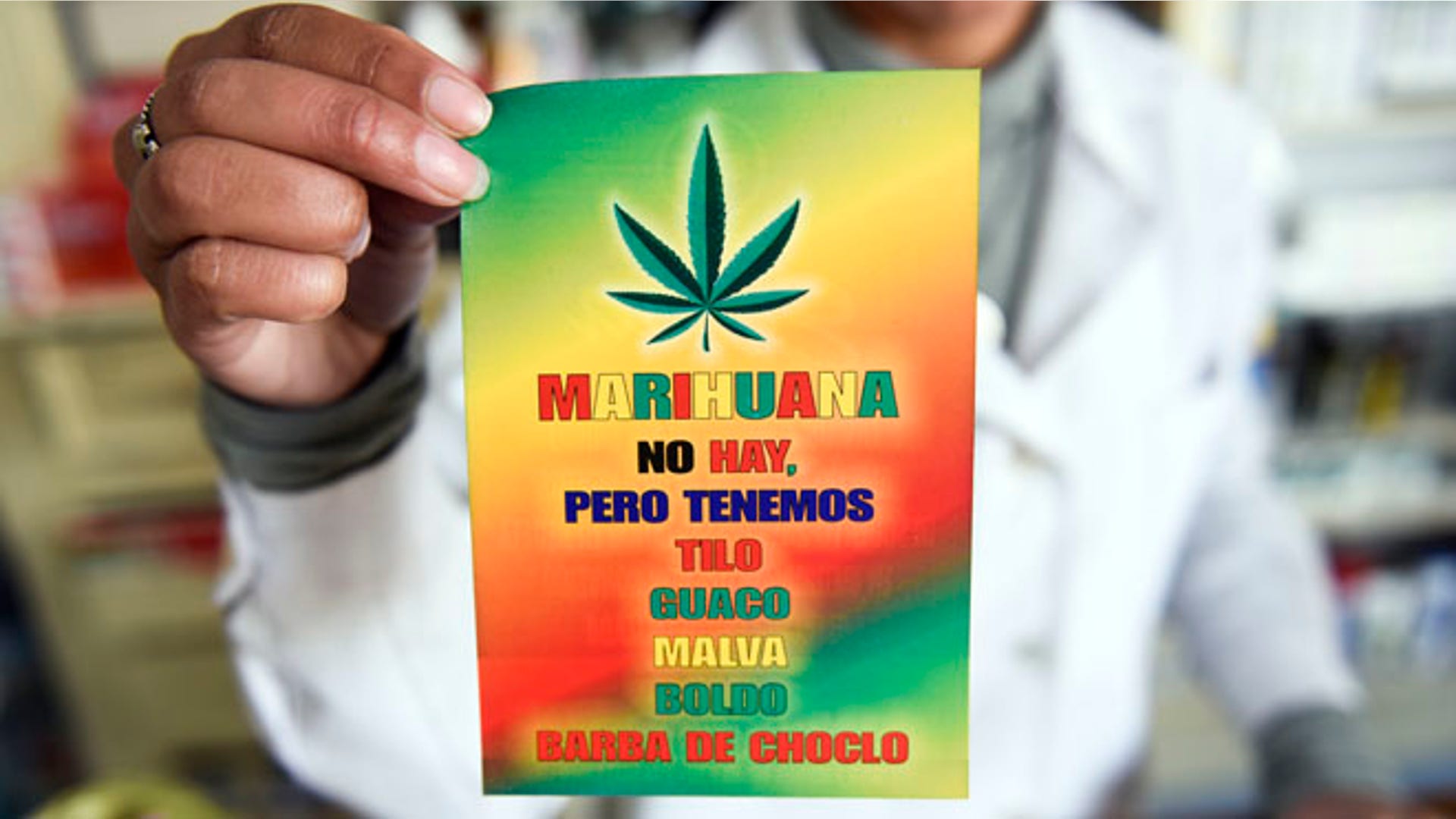 Uruguay_Marijuana_Garc_2_