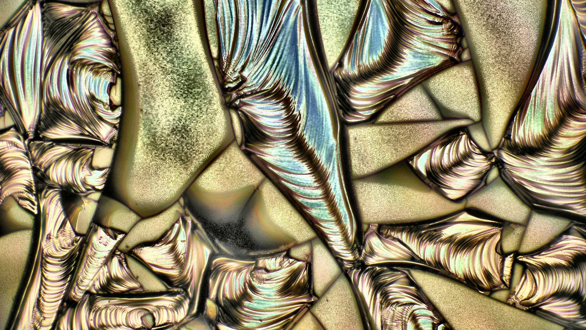 Valenta_Entry_24659_P9063833x