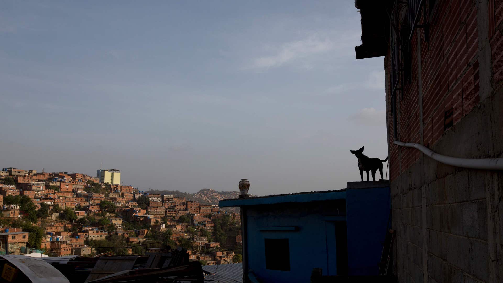 Venezuelans_Reclaim_Night__12_