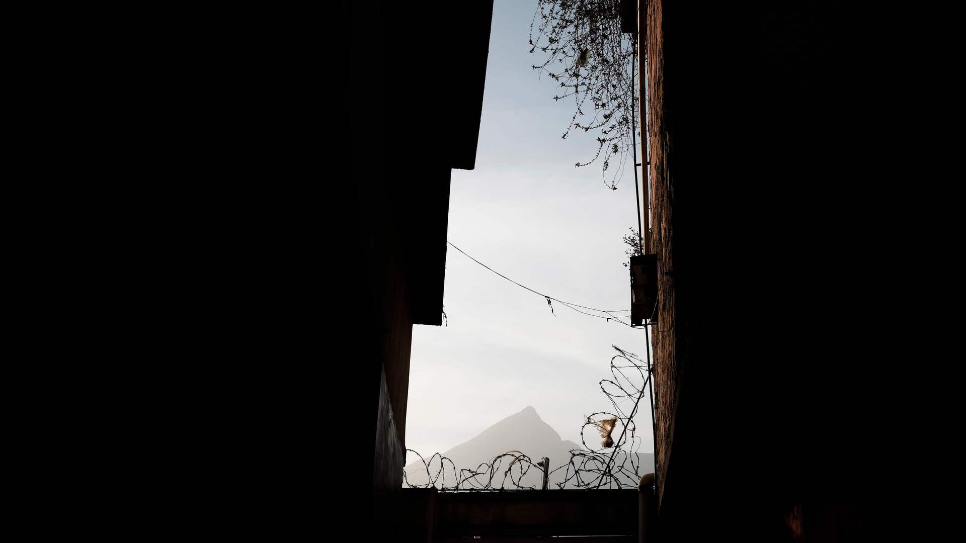 Venezuelans_Reclaim_Night__9_