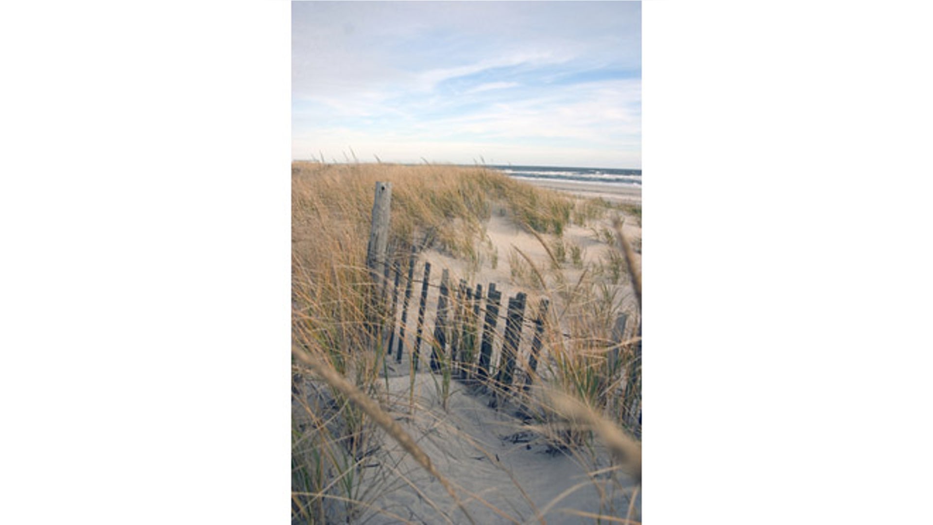 VirginiaEsEasternShore