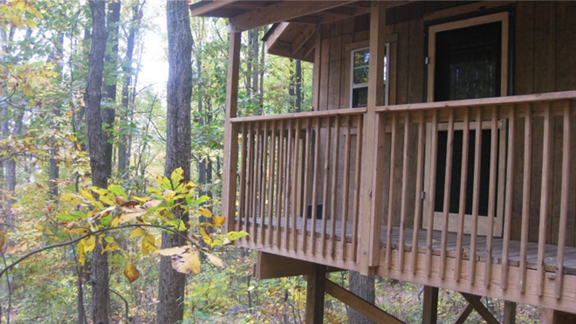 WV_Tree_house_camp