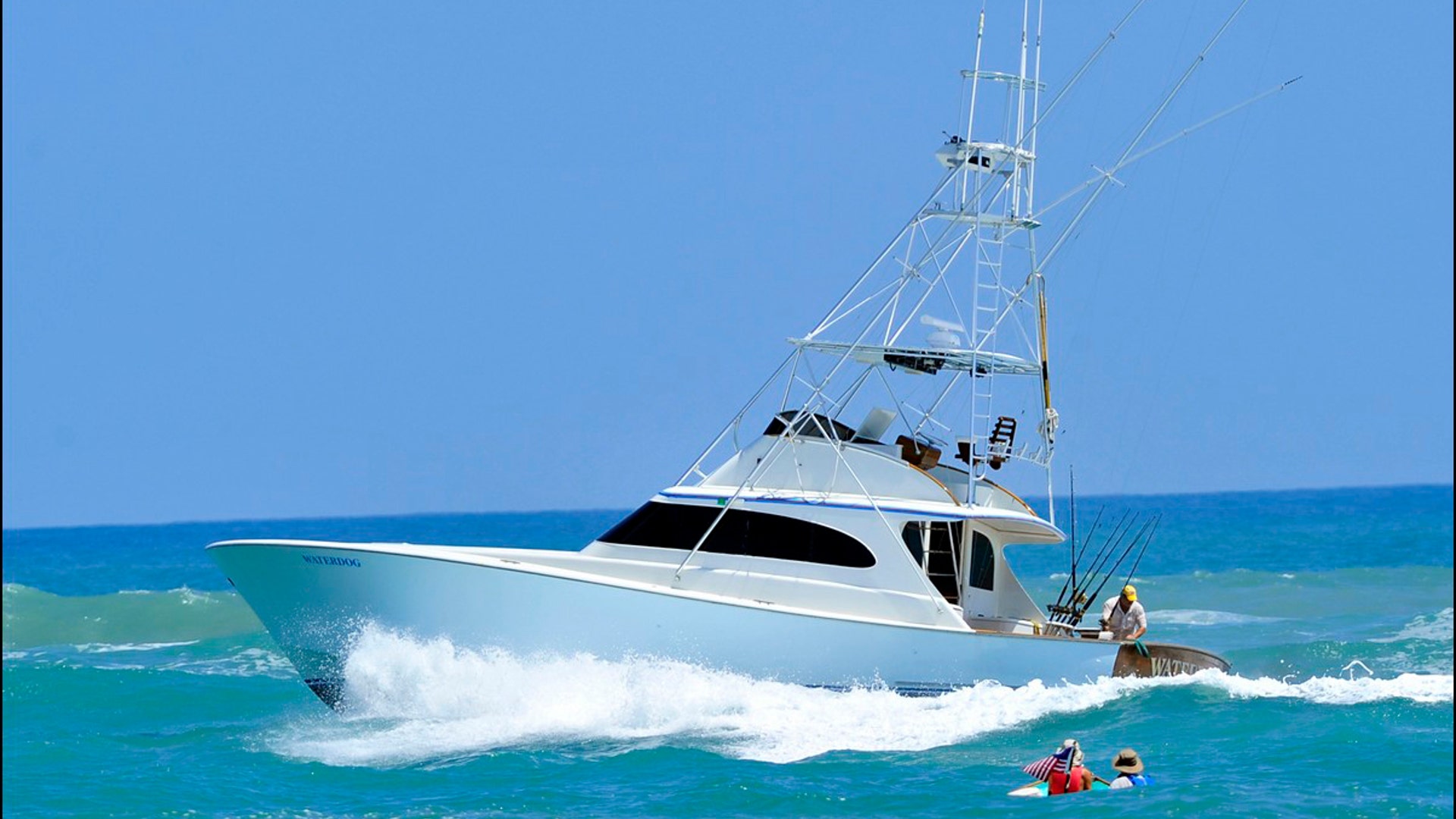 Rescuers Reach Waterdog