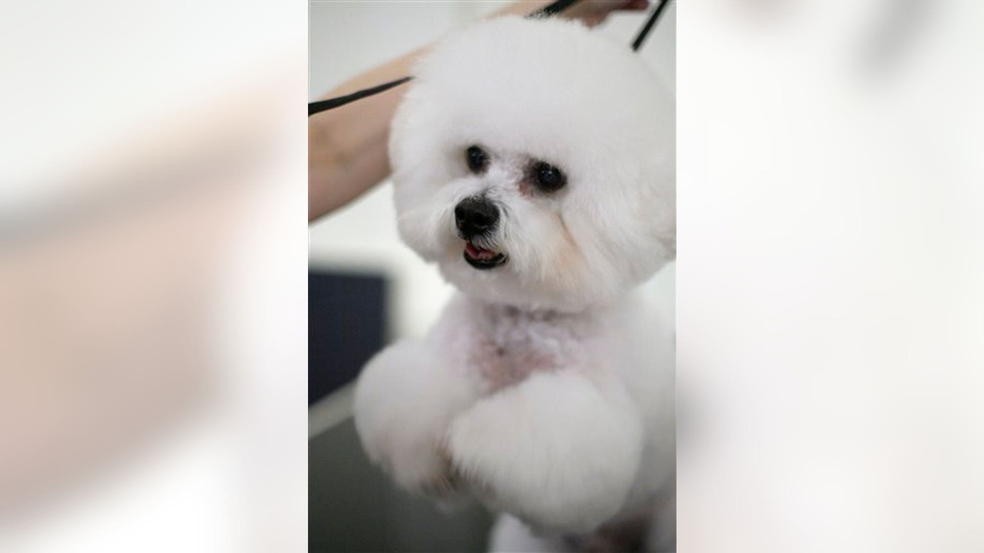 Special Times Just Right