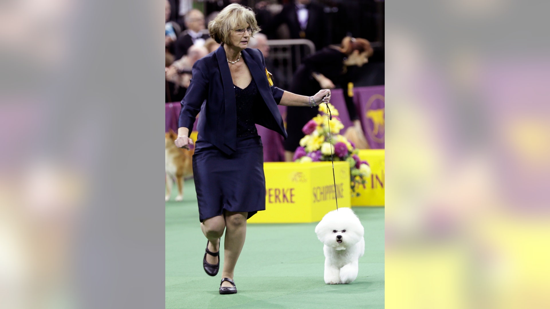 Westminster_Kennel_Cl_Hein_6_