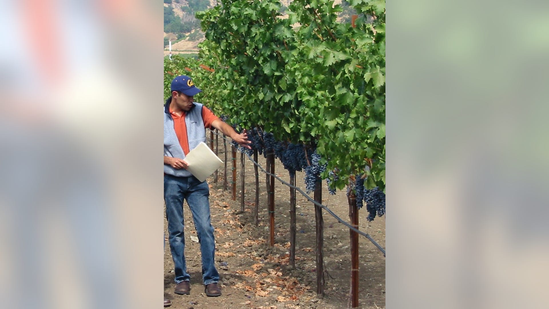 Wine_Maker_Alex_Sotelo_of_Sotelo_Cellars