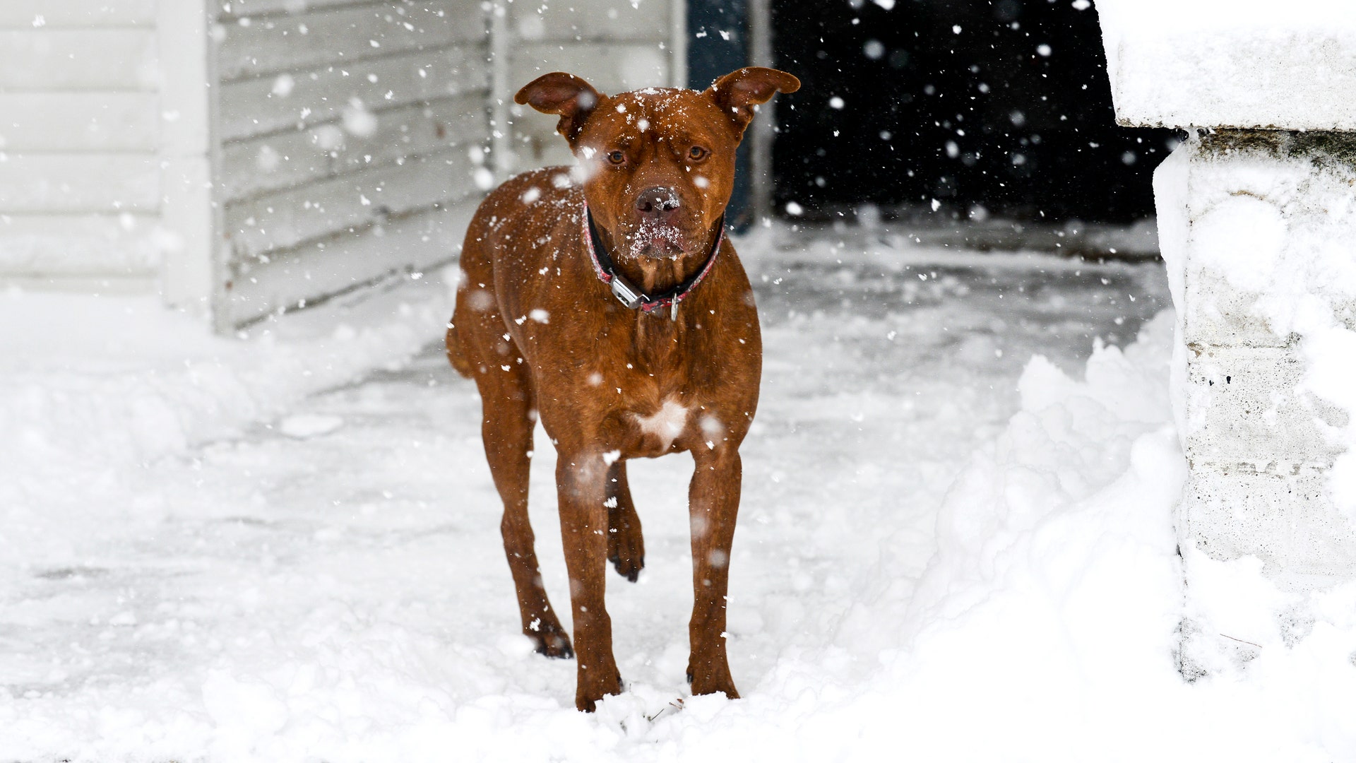 Wintry_Weather_Vros__2_