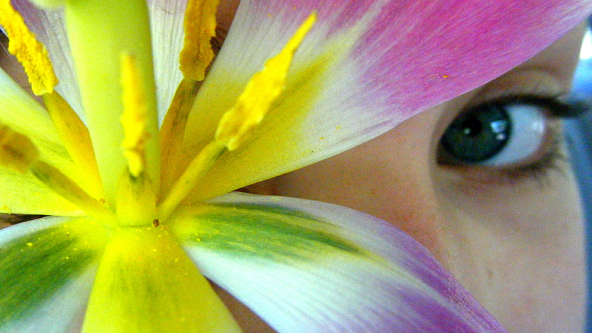 Gazing at a Stargazer