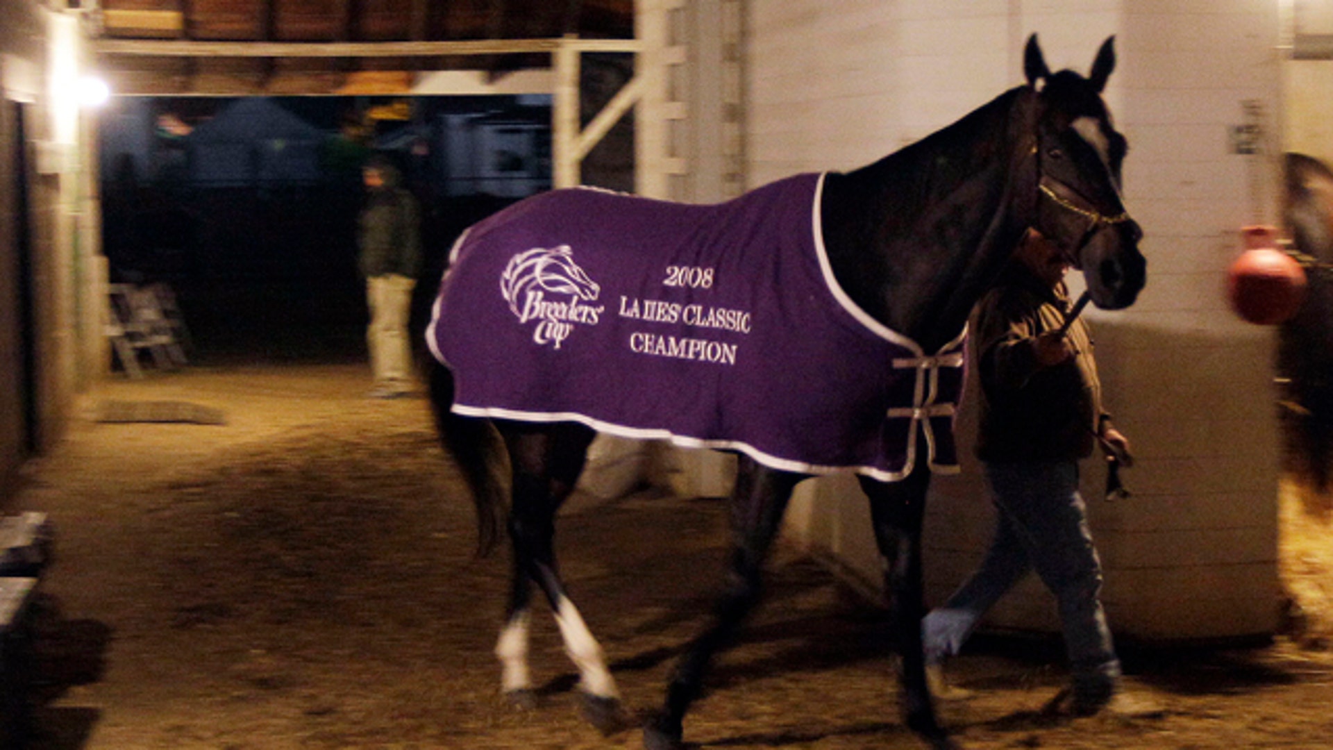 Zenyatta Takes a Leisurely Stroll