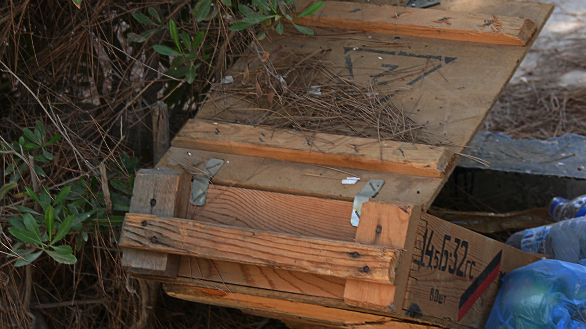 Zlitan_Legal_Collage_Strike_1