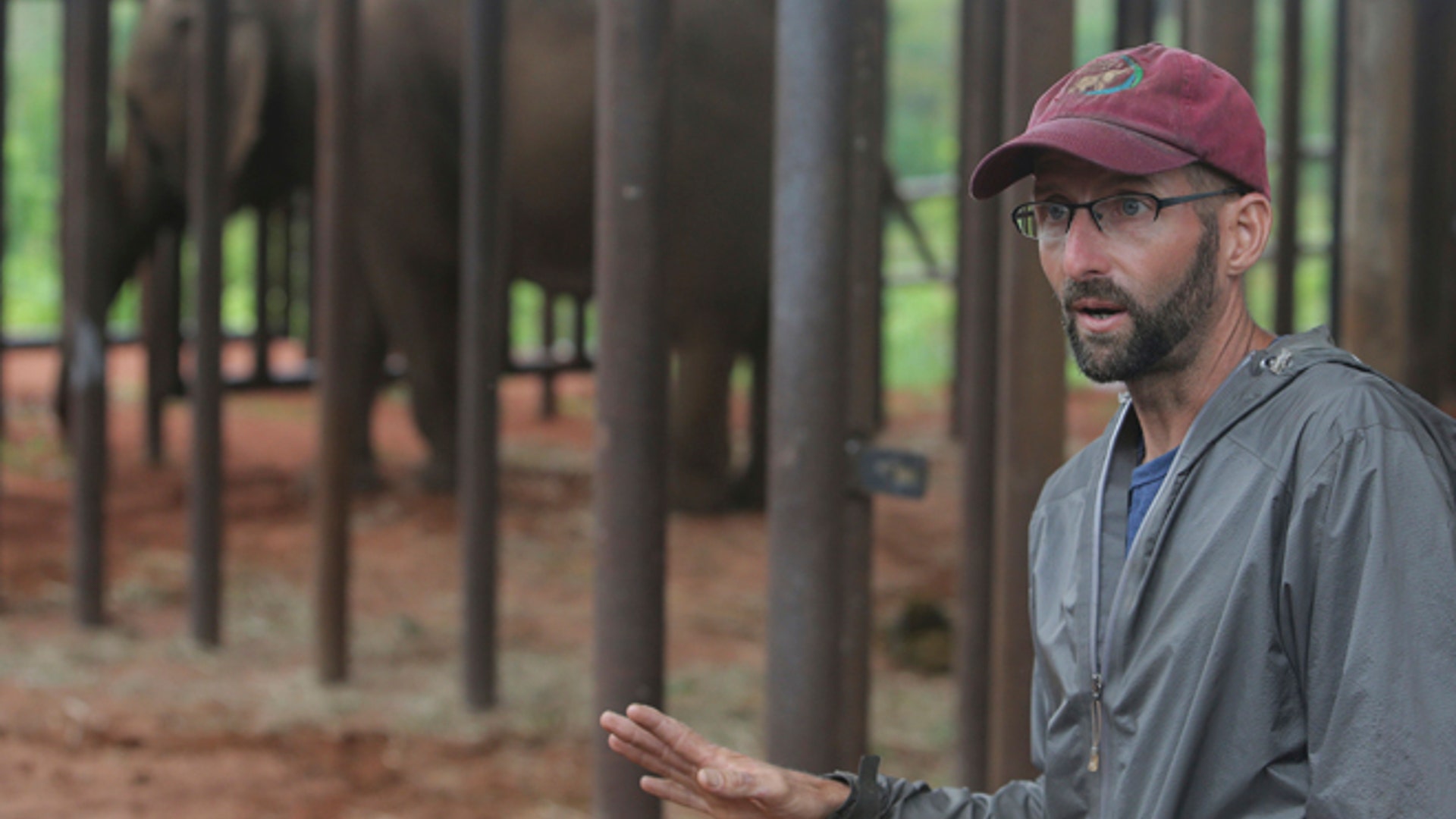 Brazil_elephant_sanctuary_1