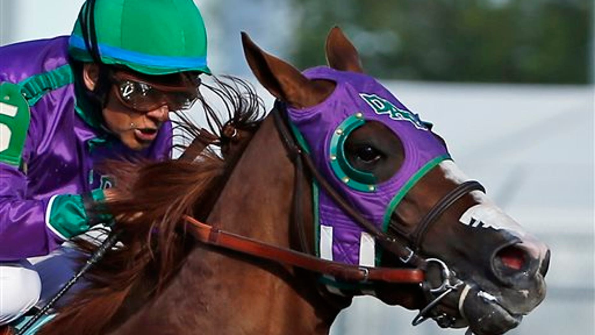California_Chrome_13
