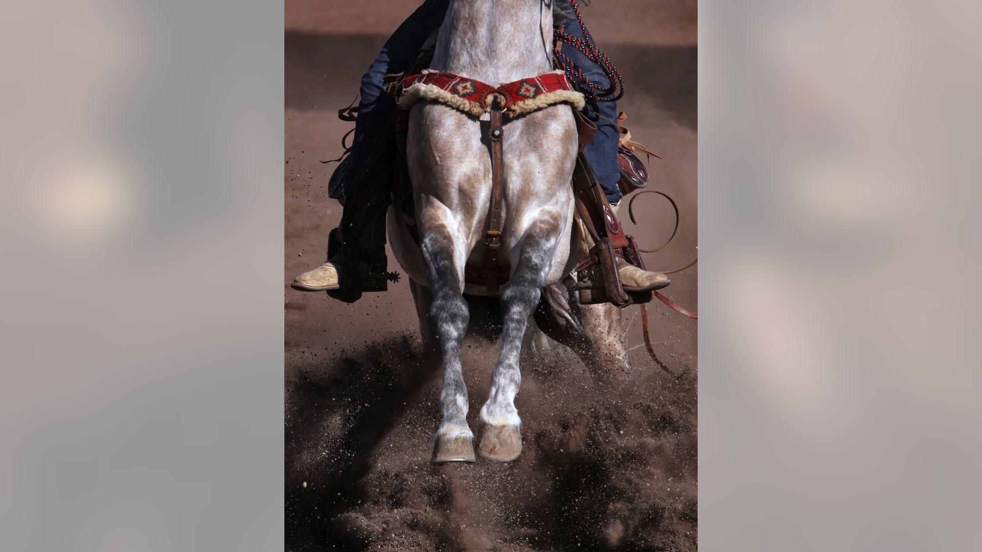 Mexico_Charro_Culture__3_