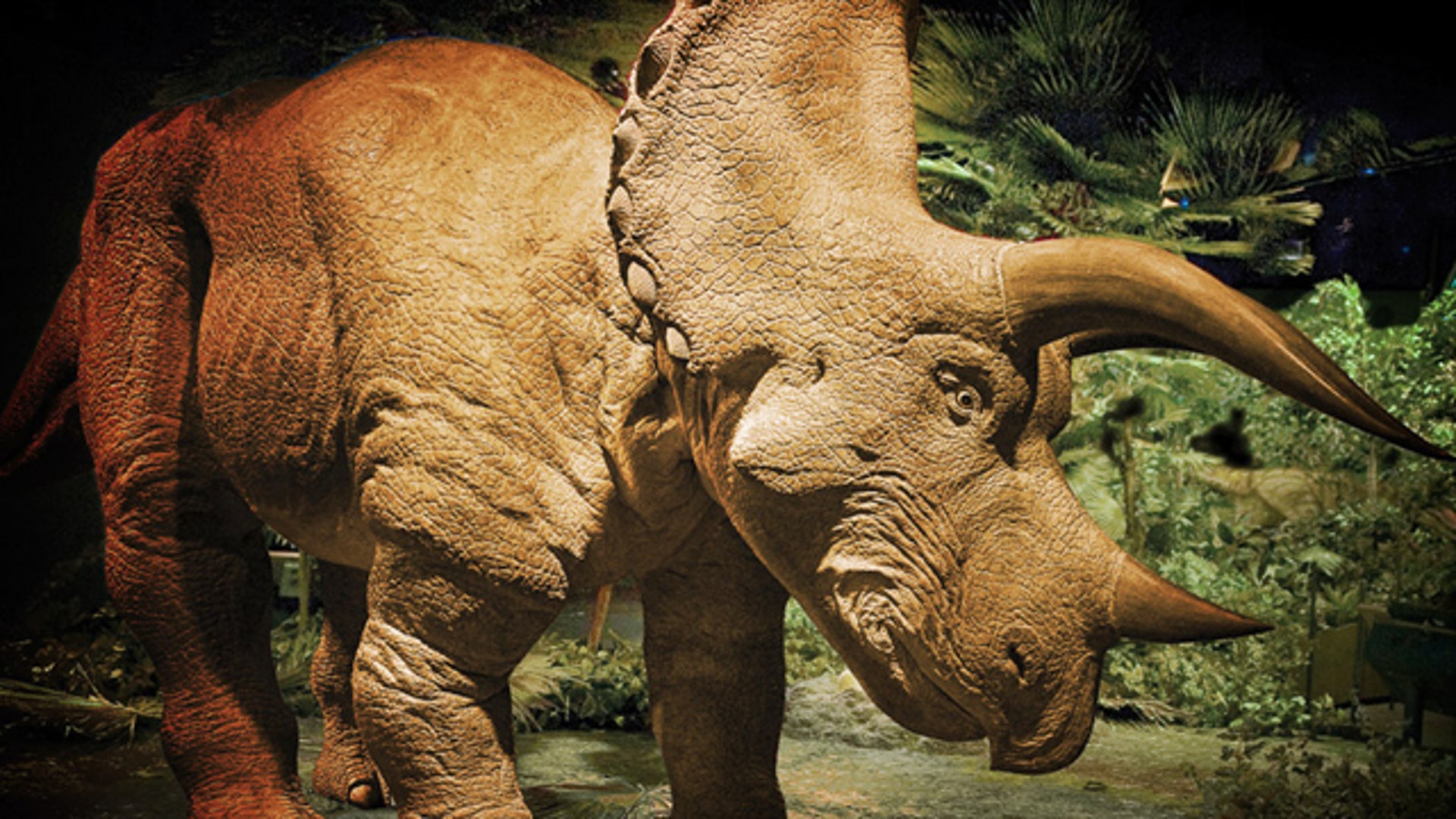 $350,000 Triceratops