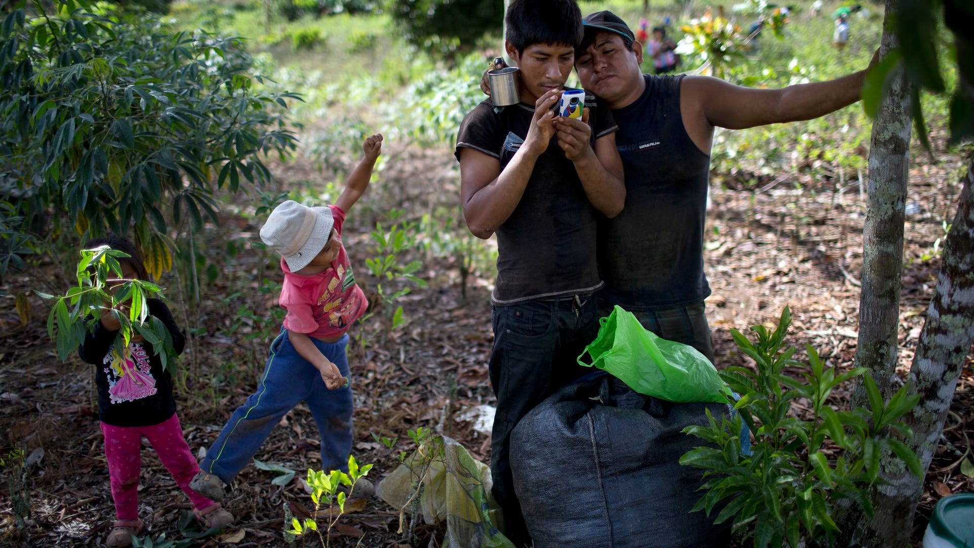 Peru_Coca_Harvest__9_