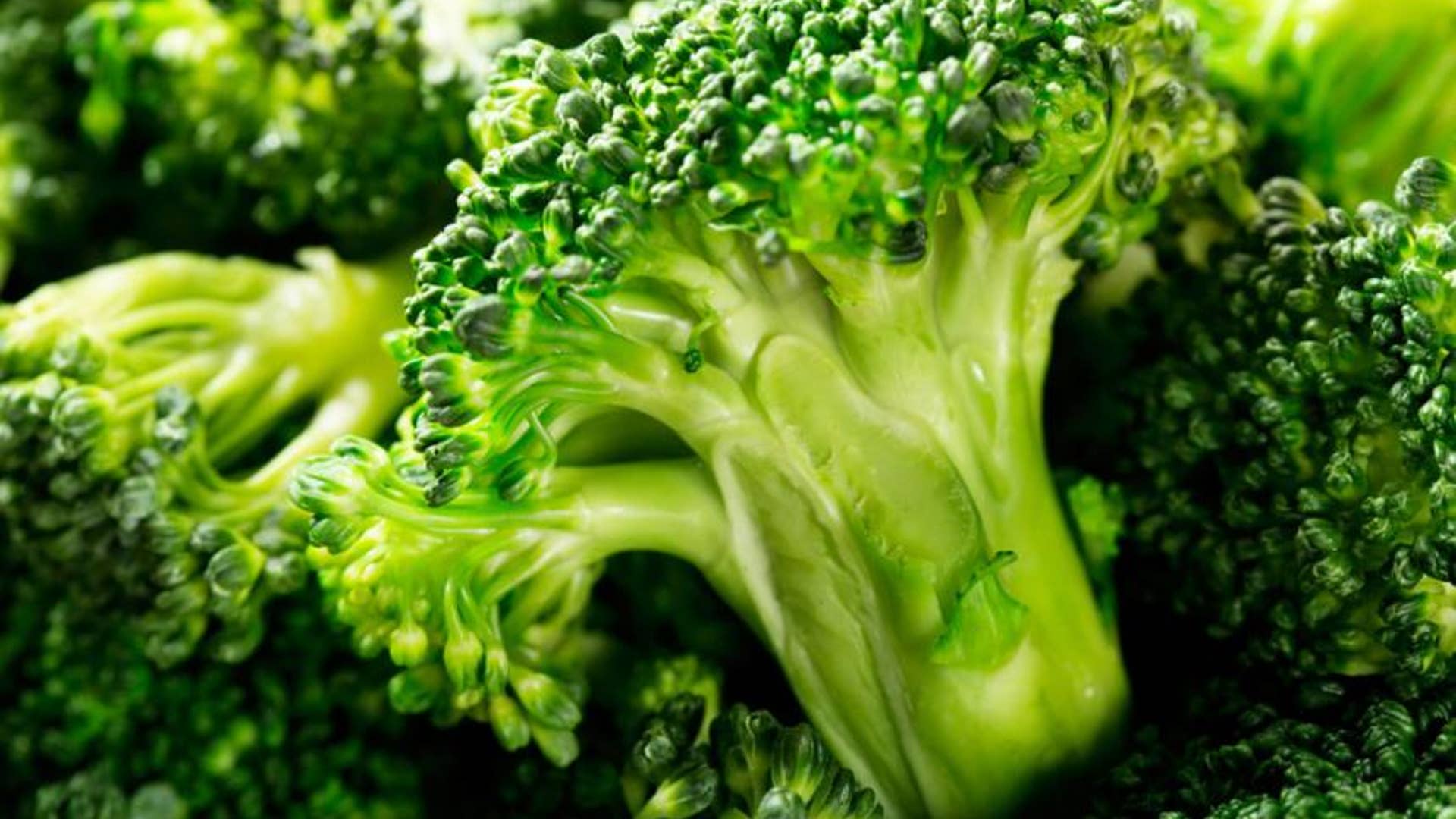 14 NonDairy Foods That Are High in Calcium Fox News