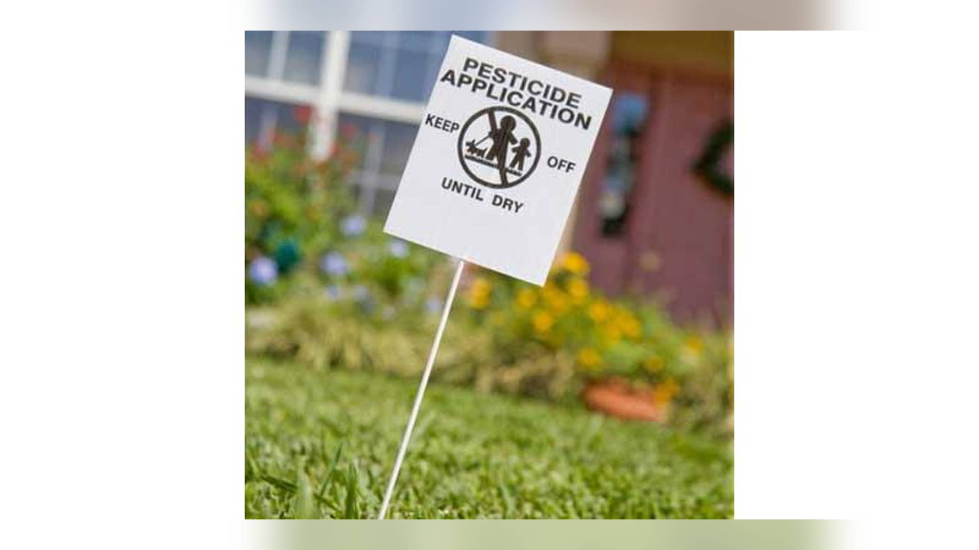 Your Lawn Gives You Cancer