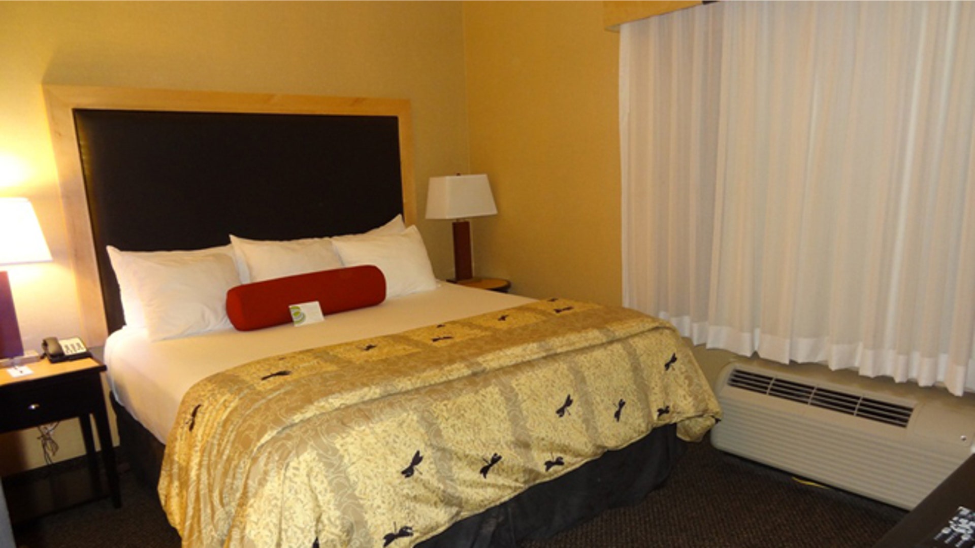 a_CambriaSuitesRaleighDurhamAirport_Raleigh_NC