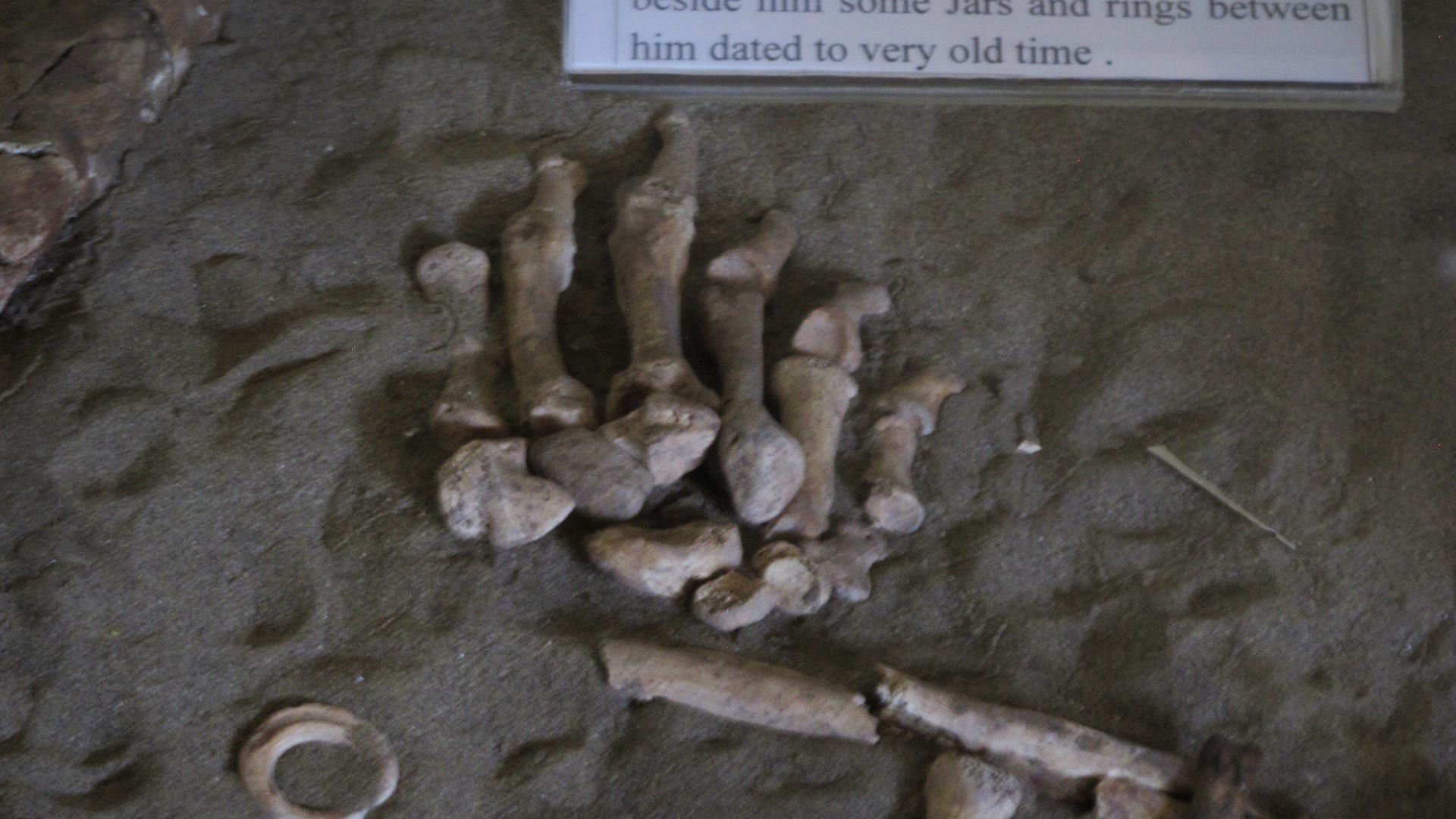 A sign next to a skeleton in the Sumerian room of Iraq's national museum