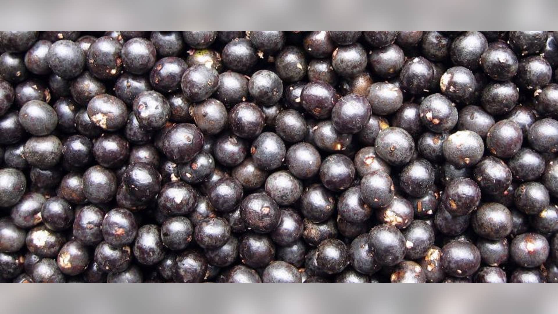 Acai Berries