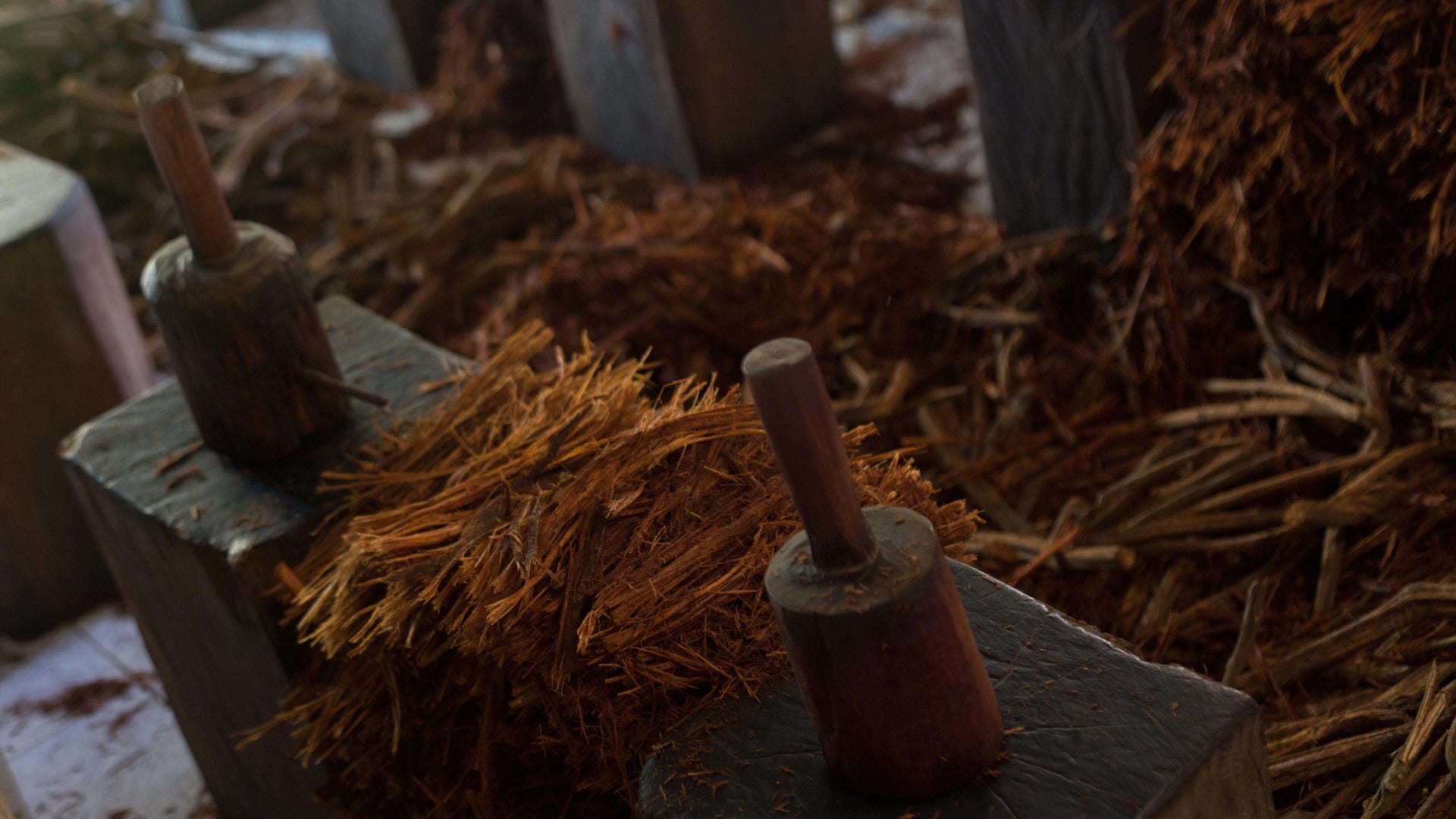 Brazil_Ayahuasca_Phot_Vros__13_