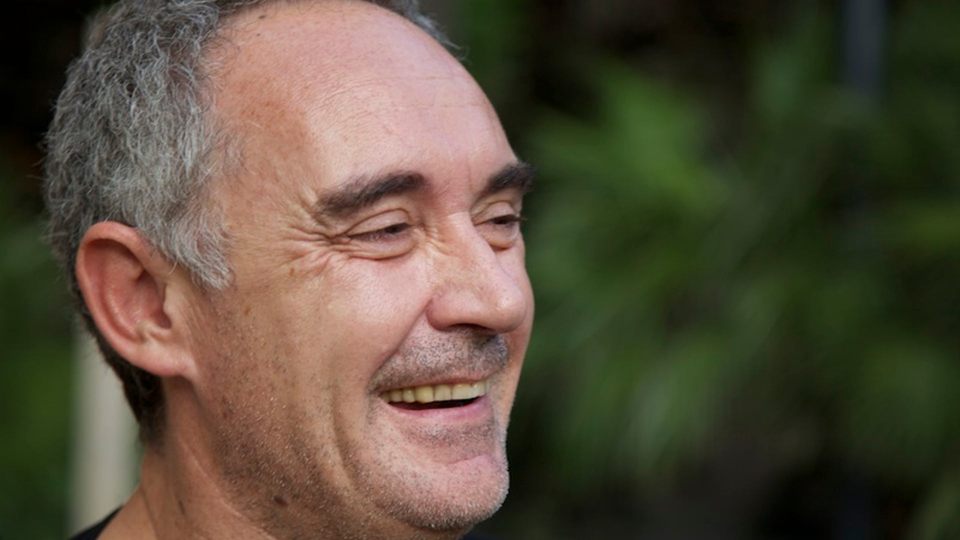 adria_I_m_retired_but