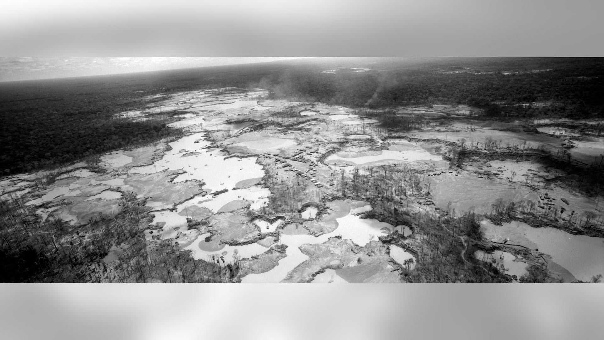 Peru_Rainforest_Destroyed__20_