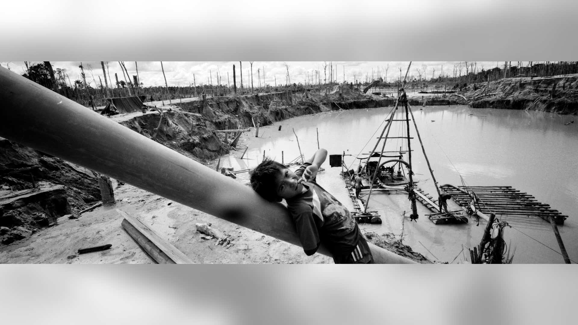 Peru_Rainforest_Destroyed__13_