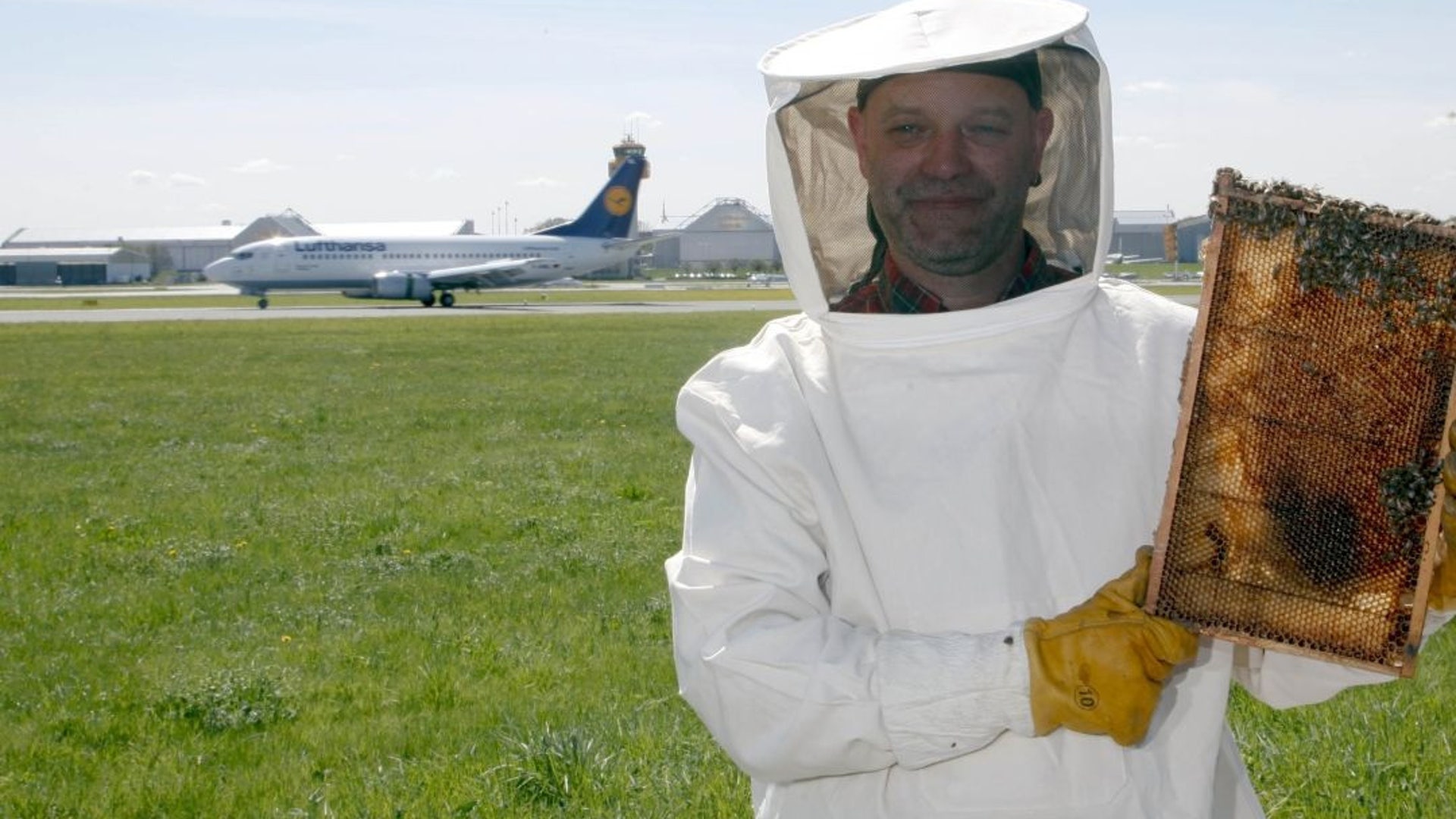 airport_honeybees