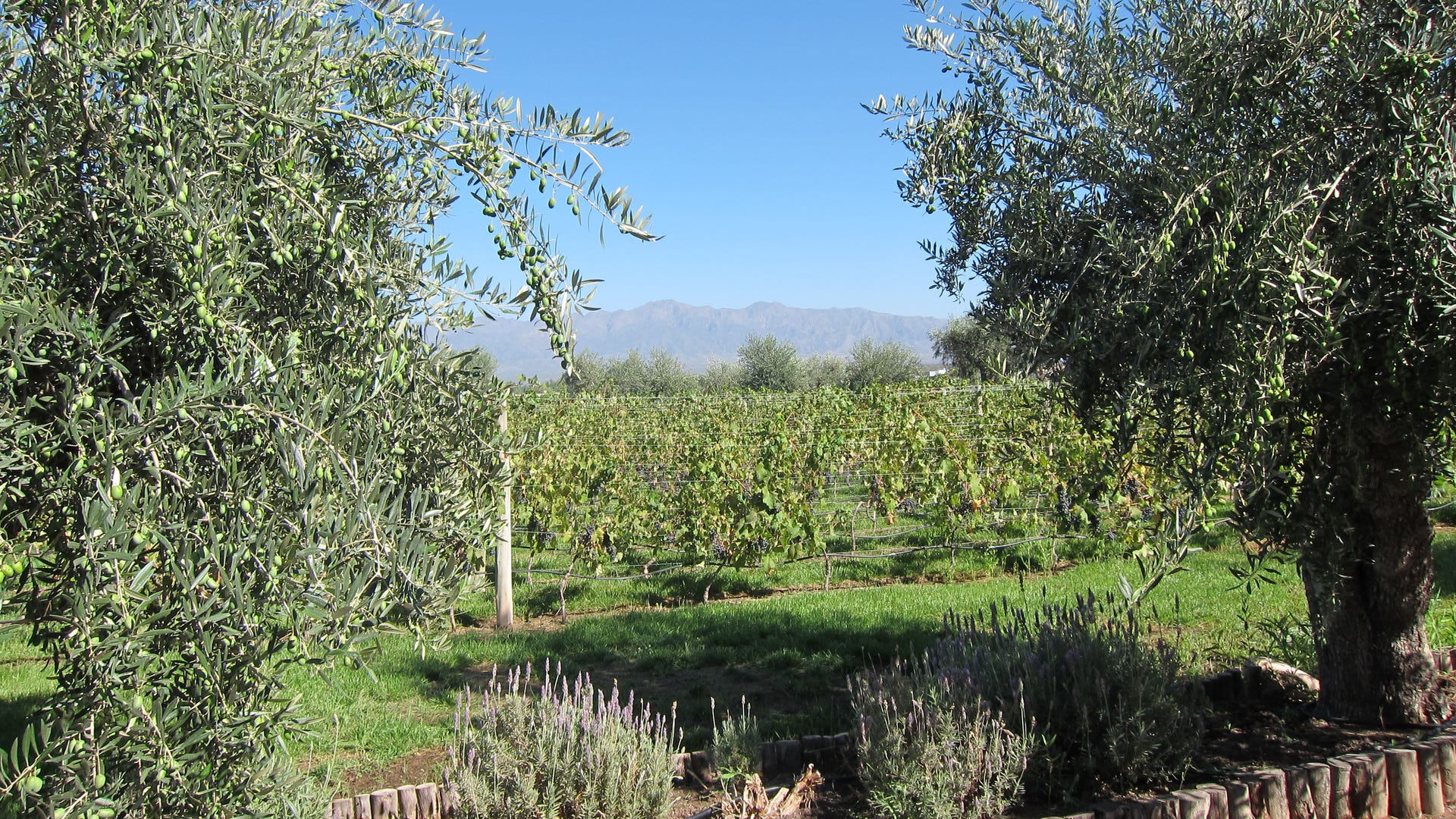 alta_vista_grounds