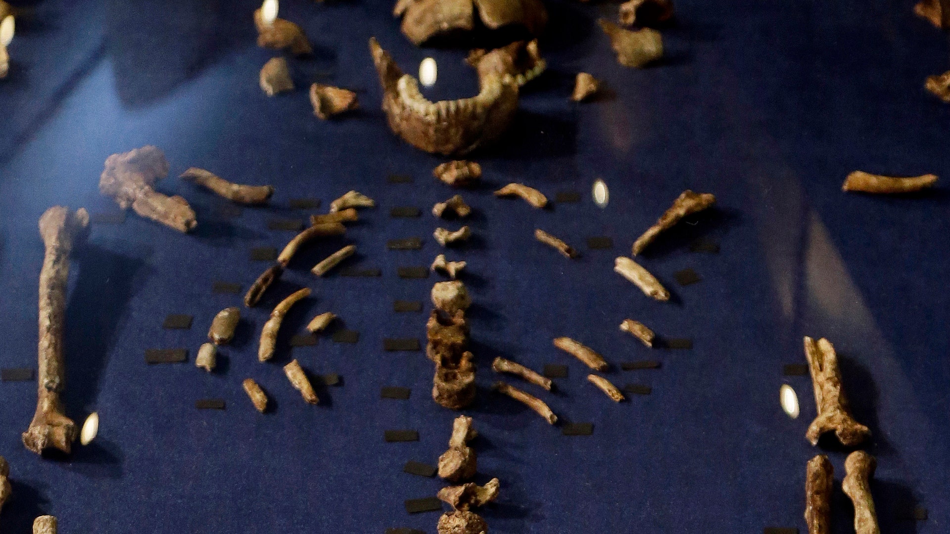 Composite skeleton