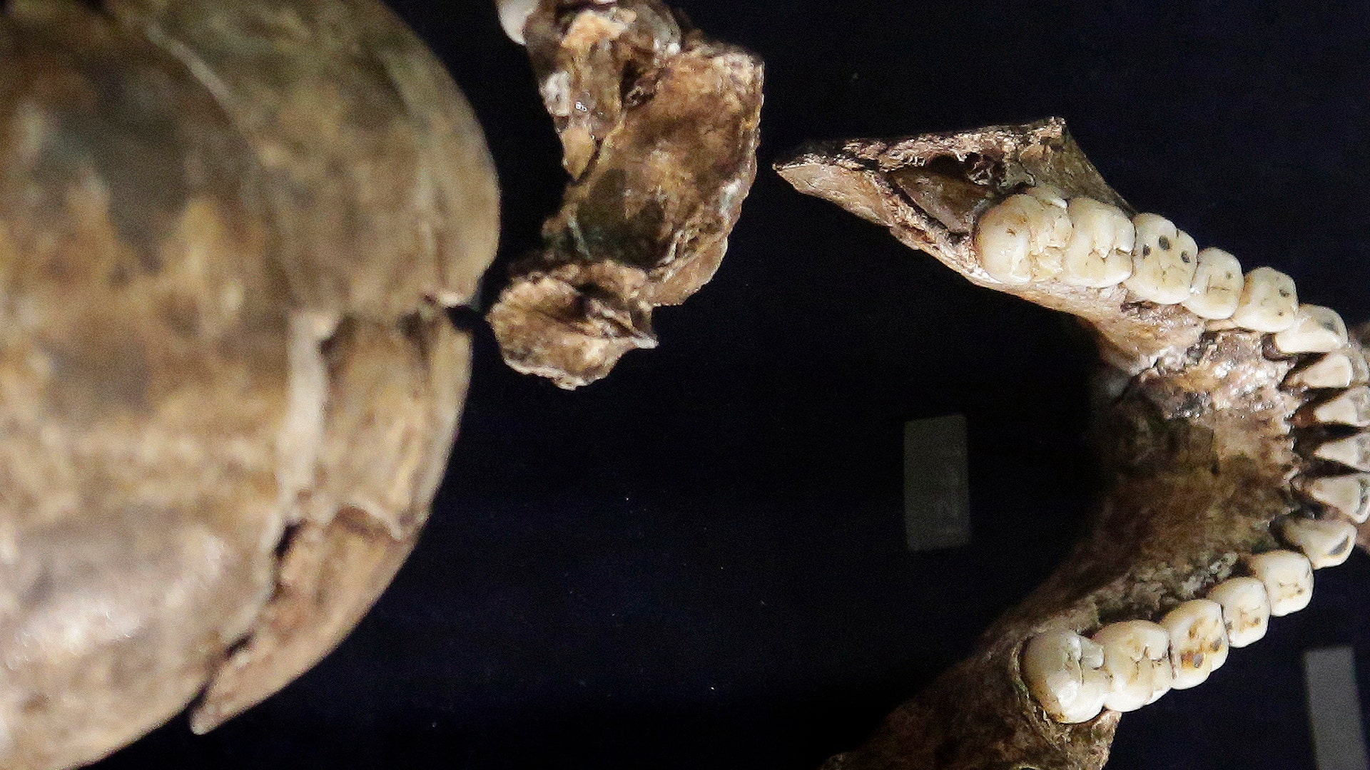 A different perspective